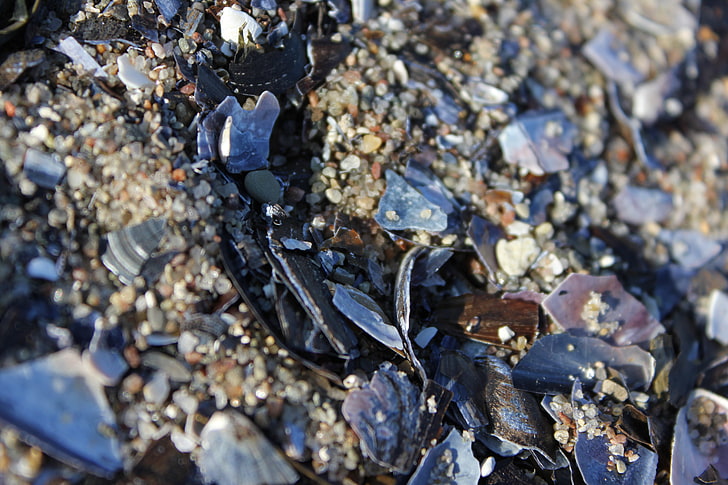 schwarze Steinfragmente, Natur, Deutschland, Makro, Kiesel, HD-Hintergrundbild