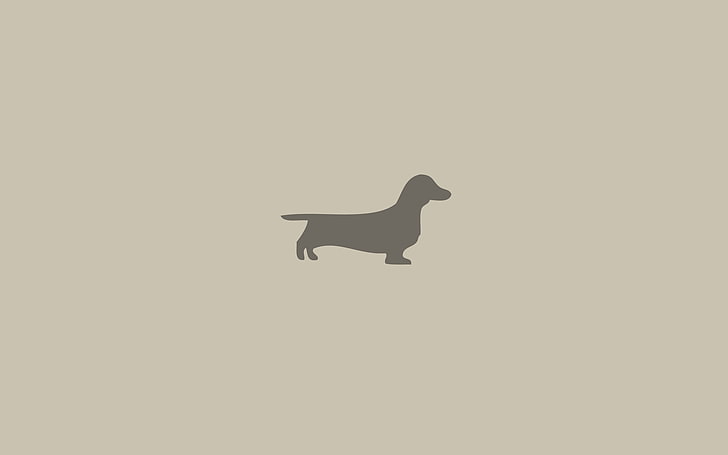 wallpaper digital beige Dachshund, dachshund, anjing, minimalis, hewan, Wallpaper HD