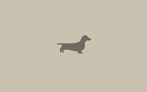 papel tapiz digital Dachshund beige, perro salchicha, perro, minimalismo, animal, Fondo de pantalla HD HD wallpaper
