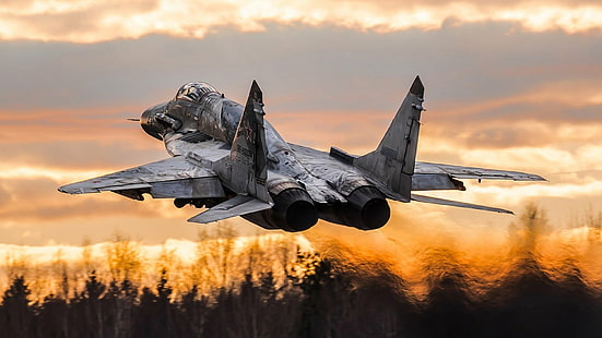 Jet Fighters, Mikoyan MiG-29, Aviones, Jet Fighter, Warplane, Fondo de pantalla HD HD wallpaper