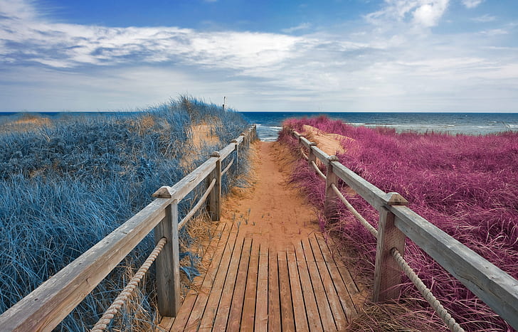 brown wooden pathway surrounded by plants, Split Tone, Beach, Boardwalk, pathway, plants, split  tone, prince  edward  island, landscape, nature, natural, travel, tourism, background, scene, scenic, scenery, canada, canadian, cloud, clouds, coast, coastal, shore, grass, beauty, beautiful, sea, ocean  water, sand, sandy, rail, railing, plank, wood, horizon, bridge, path, passage, passageway, trail, fantasy, fantastic, surreal, epic, wide  angle, wide-angle, magenta, cyan, orange, white, black, color, colors, colour, colours, colorful, stock, resource, image, picture, ca, outdoors, scenics, sky, summer, footpath, no People, wood - Material, blue, coastline, HD wallpaper