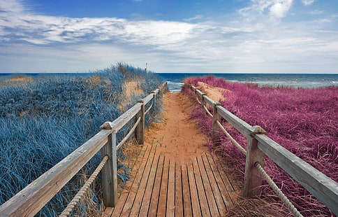brown wooden pathway surrounded by plants, Split Tone, Beach, Boardwalk, pathway, plants, split  tone, prince  edward  island, landscape, nature, natural, travel, tourism, background, scene, scenic, scenery, canada, canadian, cloud, clouds, coast, coastal, shore, grass, beauty, beautiful, sea, ocean  water, sand, sandy, rail, railing, plank, wood, horizon, bridge, path, passage, passageway, trail, fantasy, fantastic, surreal, epic, wide  angle, wide-angle, magenta, cyan, orange, white, black, color, colors, colour, colours, colorful, stock, resource, image, picture, ca, outdoors, scenics, sky, summer, footpath, no People, wood - Material, blue, coastline, HD wallpaper HD wallpaper
