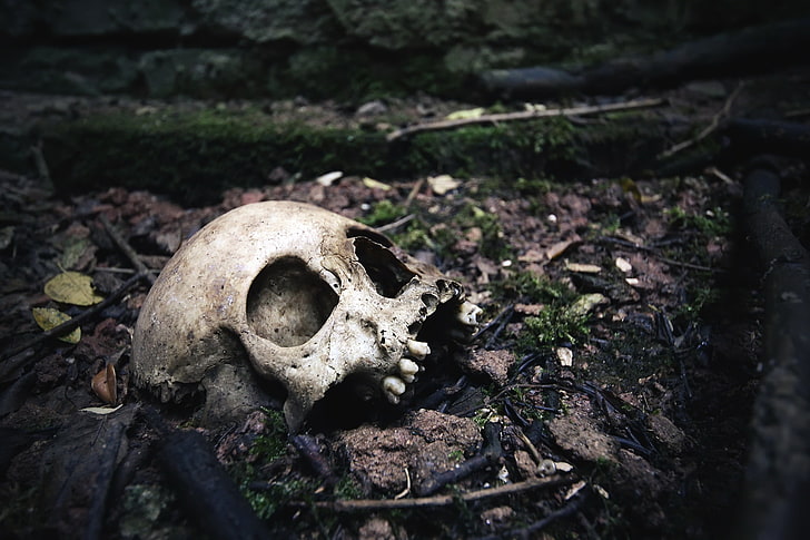 dark, skull, bones, HD wallpaper