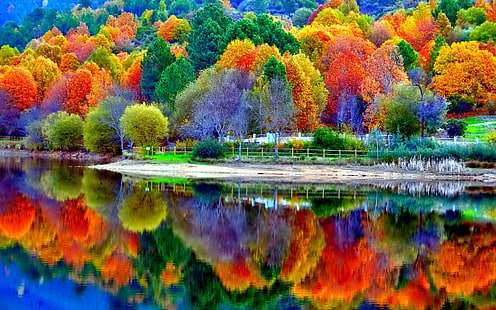 자연, 1920x1200, 숲, 호수, 물, 나무, HD, 4K, HD 배경 화면 HD wallpaper