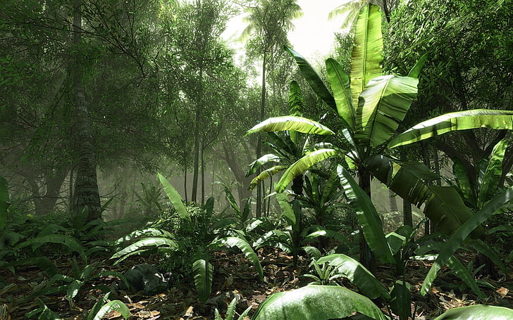 лесной крис 1680x1050 Видеоигры Crysis HD Art, лес, Crysis, HD обои