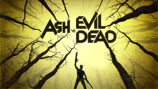 Ash vs Evil Dead: capa, Ash vs Evil Dead, inscrição, madeira, homem, armas, HD papel de parede HD wallpaper