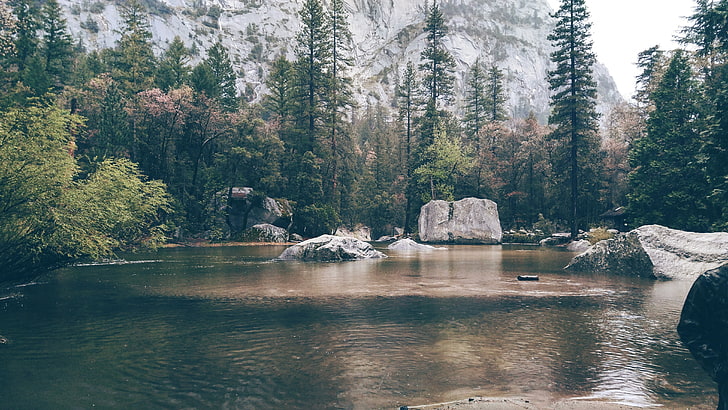 green pine trees, Yosemite National Park, nature, lake, HD wallpaper