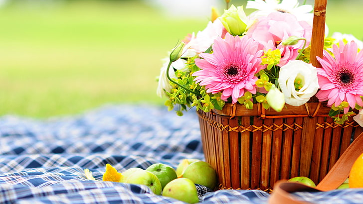 selective focus photography of picnic basket full of flowers, Gerbera, 4k, HD wallpaper, Flowers, picnic, bascet, apple, HD wallpaper