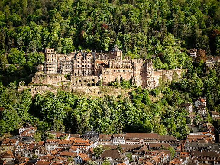 hutan, pohon, kastil, rumah, Jerman, Kastil Heidelberg, Wallpaper HD