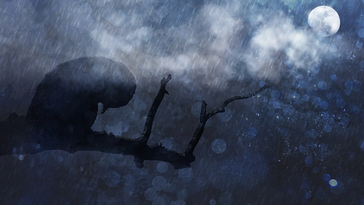uccello sull'albero illustrazione brunch, uccelli, ramo, chiaro di luna, pioggia, tristezza, nuvole, Sfondo HD