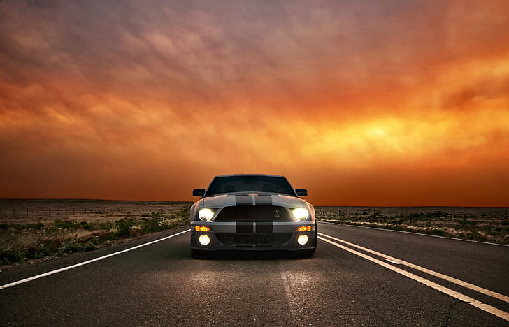 Ford Mustang GT500, srebrno-czarny ford mustang shelby cobra, Ford, Mustang, gt500, Shelby, Ford Mustang, niebo, chmury, reflektory, Tapety HD