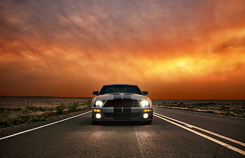 Ford Mustang GT500, argent et noir, Ford Mustang Cobra, Ford, Mustang, GT500, Shelby, Ford Mustang, ciel, nuages, phares, Fond d'écran HD HD wallpaper