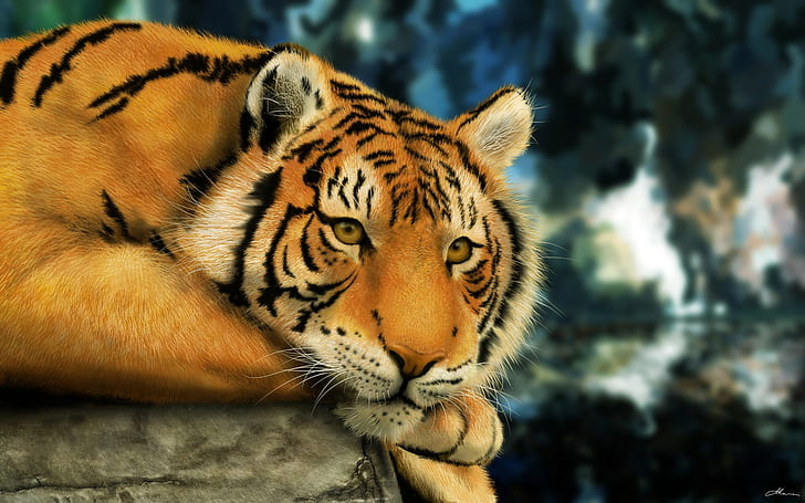 tigre, grandes felinos, animales, Fondo de pantalla HD