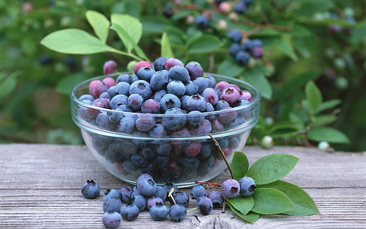 bunch of blue berries, berry, bowl, glass, bilberry, crop, HD wallpaper