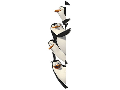 dessin animé, divertir, enfant, madagascar, film, pingouin, pingouin de Madagascar, Fond d'écran HD HD wallpaper