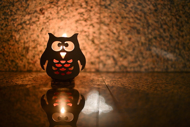 light, background, fire, owl, widescreen, Wallpaper, mood, shadow, form, candle, full screen, HD wallpapers, owlet, fullscreen, HD wallpaper