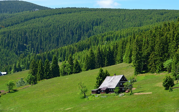 cottage, house, hills, forest, trees, landscape, HD wallpaper