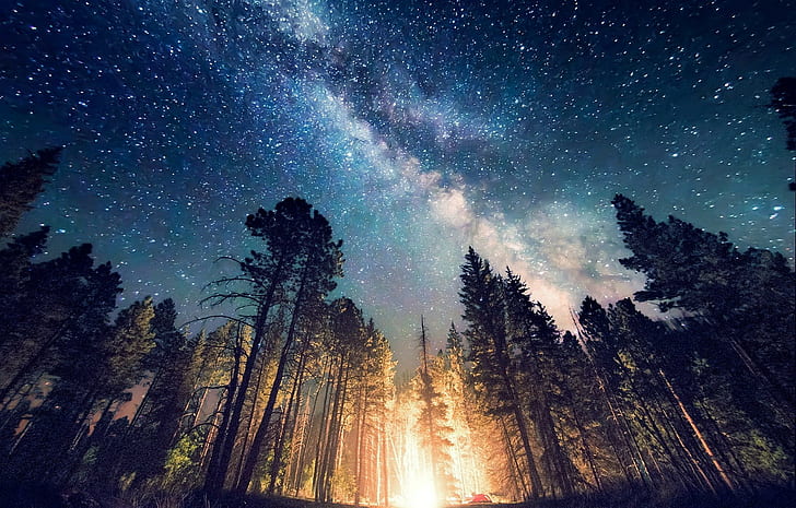 long exposure, starry night, Milky Way, galaxy, nature, camping, forest, landscape, New Mexico, lights, trees, HD wallpaper