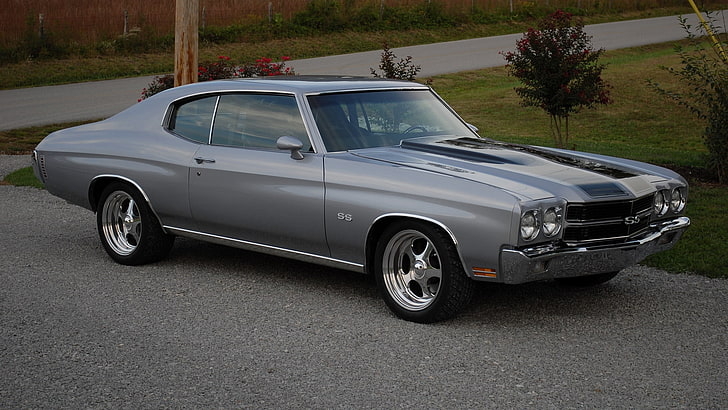 classic gray coupe, chevrolet, chevelle, ss, 1970, gray, side view, HD wallpaper