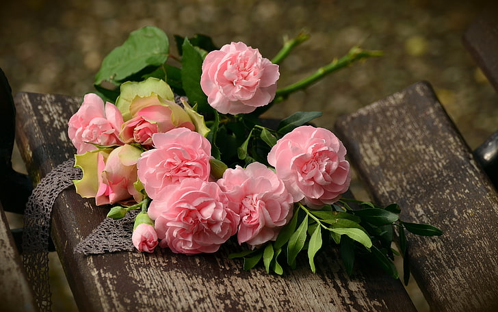 розови рози, карамфили, цветя, цвете, розово, HD тапет