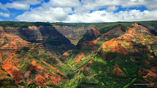 ワイメア渓谷、カウアイ、ハワイ、自然、 HDデスクトップの壁紙 HD wallpaper