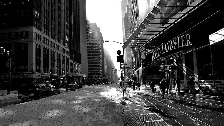 Червен омар, надпис в сива скала на сграда, градски пейзаж, град, сграда, монохромен, улица, сняг, Ню Йорк, HD тапет