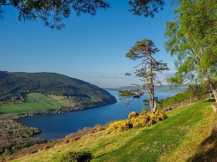 trees, lake, hills, slope, Scotland, Scottish Highlands, Loch Ness, HD wallpaper