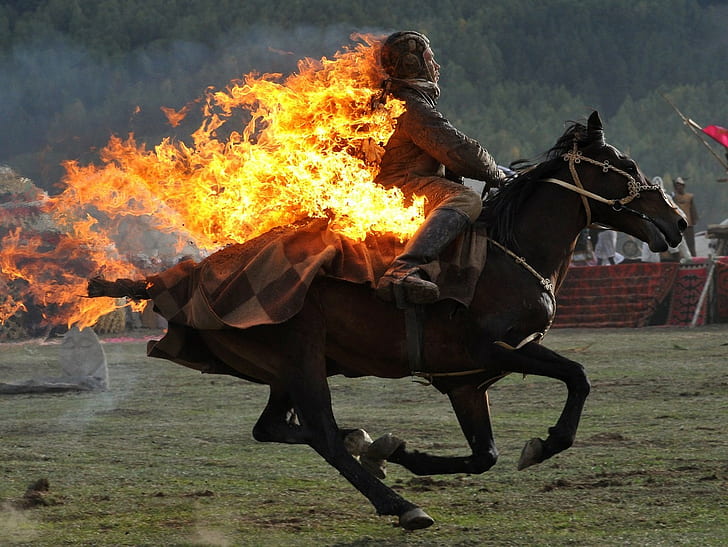 огонь, лошадь, жжение, HD обои