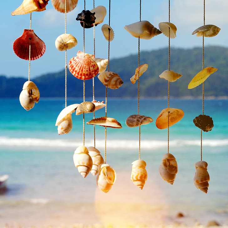 sand, sea, wave, beach, summer, shore, shell, marine, seashells, HD wallpaper
