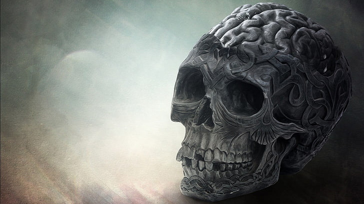 ilustracja czaszki, mózg, czaszka, śmierć, Tapety HD