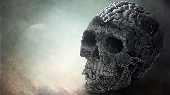 череп иллюстрация, мозг, череп, смерть, HD обои HD wallpaper
