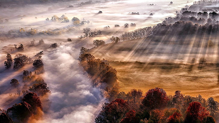 paysage d'automne, automne, rayons de soleil, paysage d'automne, campagne, brouillard, brumeux, rayon de soleil, rayons, paysage, Fond d'écran HD