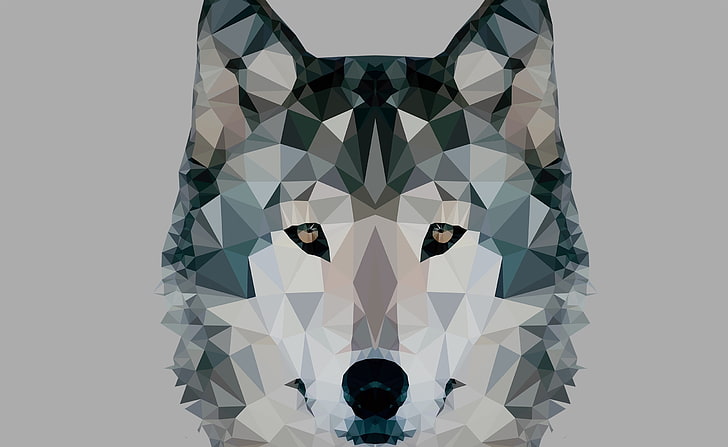Низкополигональный волк, картина серого и белого волка, Aero, Vector Art, HD обои