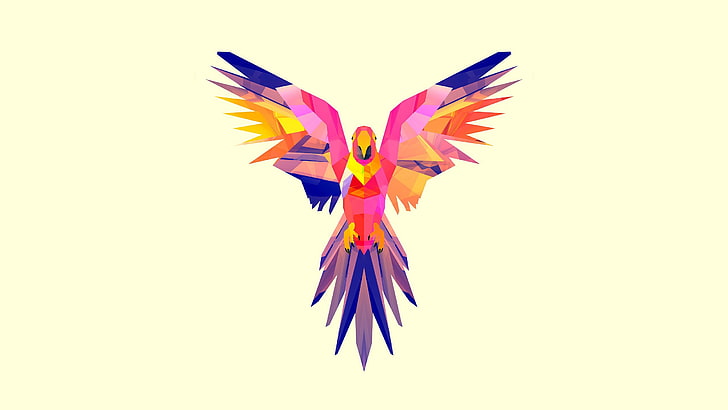 pink and blue bird illustration, parrot, vector, drawing, bright, color, HD wallpaper