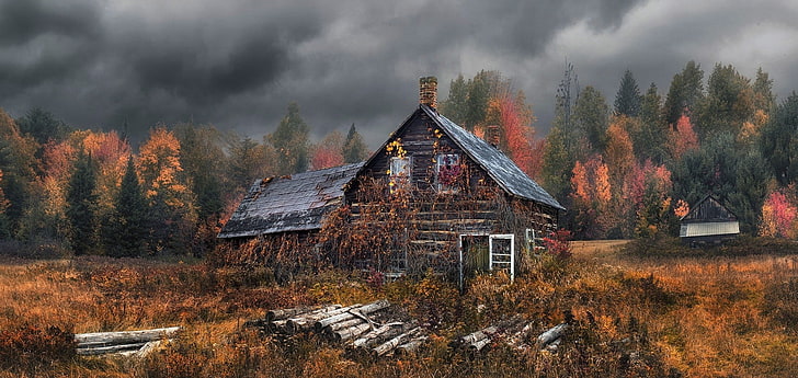 brown concrete house, nature, landscape, cabin, dry grass, forest, fall, clouds, Hansel and Gretel, trees, overcast, abandoned, HD wallpaper