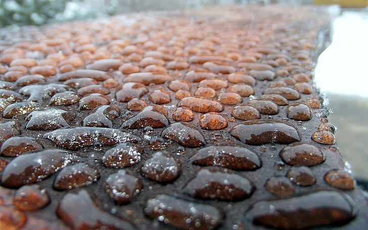Rain Water Droplets, water droplets, rain, drops, HD wallpaper