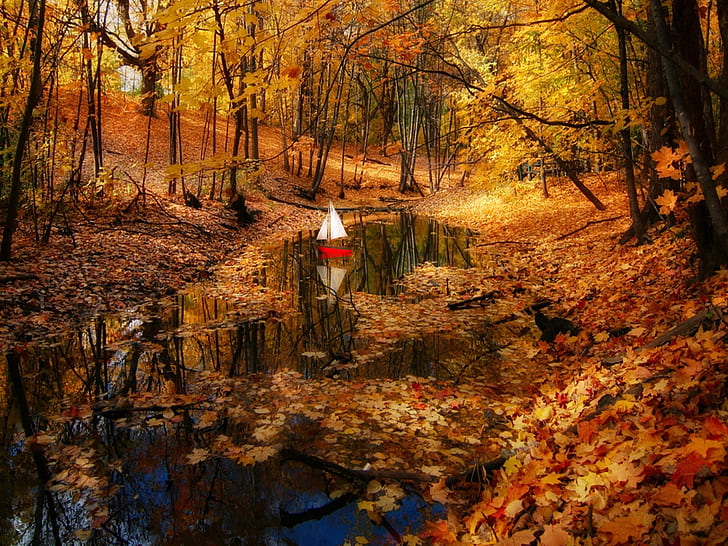 秋の美しい美しさのボートの色秋の森の黄金の葉素敵な自然の静かなきれいな反射、HD、 HDデスクトップの壁紙