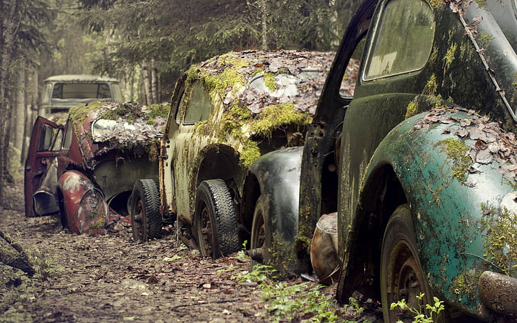 vehicle, old car, abandoned, moss, wreck, rust, car, HD wallpaper