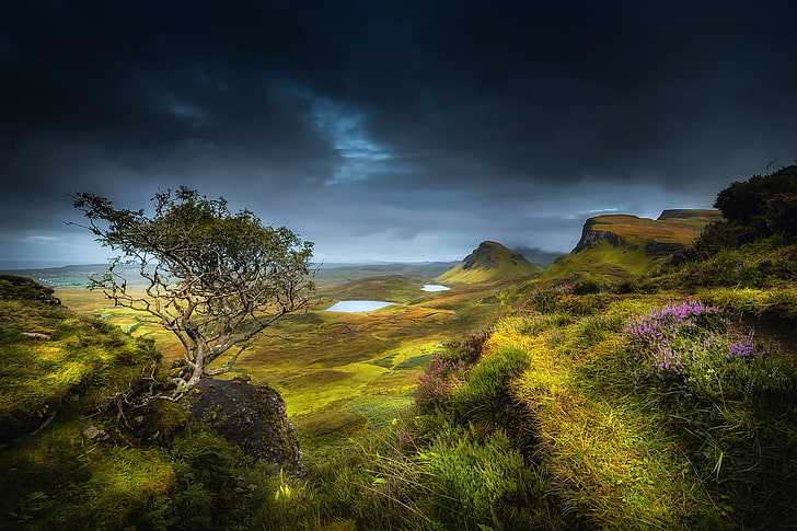 green grass, summer, grass, clouds, flowers, mountains, tree, rocks, hills, valley, Scotland, lake, August, Isle of Skye, region highland, HD wallpaper