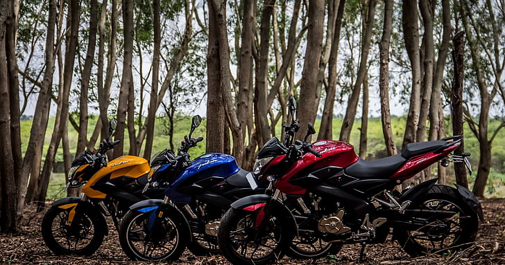 Trois motos Pulsar 200 NS, motocyclettes orange, bleues et rouges, motocyclettes, forêt, vélos, trois, Fond d'écran HD