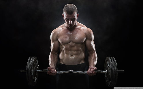 graue und schwarze Hantel, Fitness-Modell, männliche Models, Männer, Muskeln, einfacher Hintergrund, Gewichtheben, HD-Hintergrundbild HD wallpaper