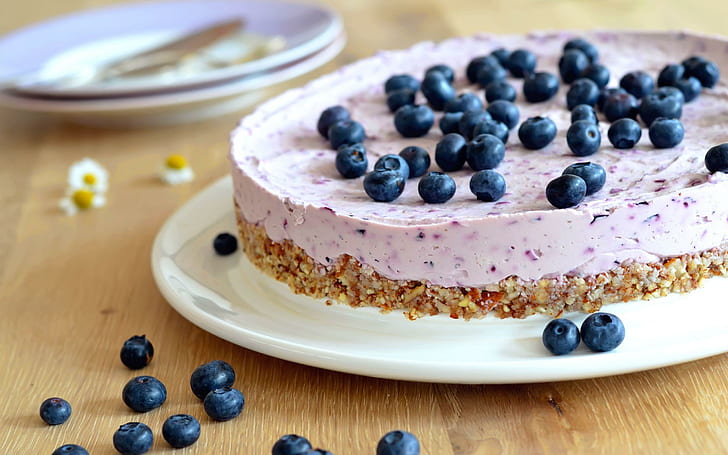Blueberry cake, cake with blueberries on top, photography, 2560x1600, fruit, dessert, cake, blueberry, HD wallpaper