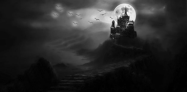 castillo negro, lado oscuro, castillo negro, noche, pájaro, luna, escalofriante, horror, oscuro, Fondo de pantalla HD HD wallpaper