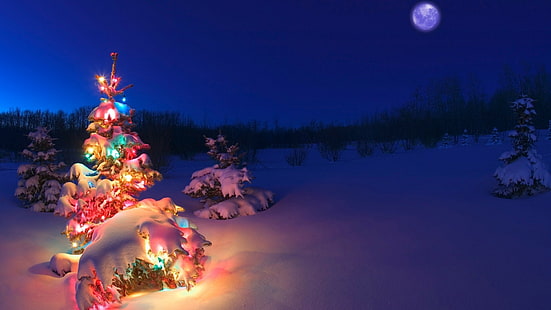 коледно дърво сняг коледни светлини, HD тапет HD wallpaper