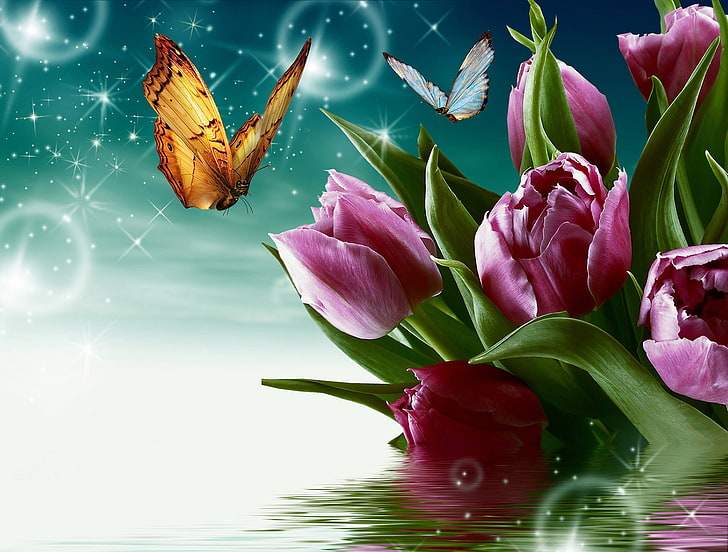 eau, fleurs, papillon, tulipes, Fond d'écran HD