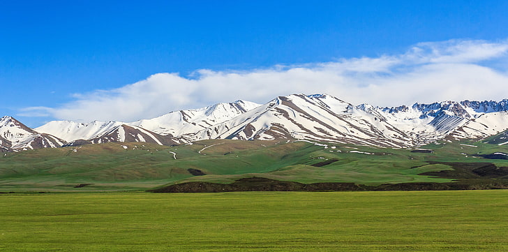 иллюстрация горы, поле, небо, трава, облака, снег, горы, зеленые, кыргызстан, сосновка, чуй, HD обои