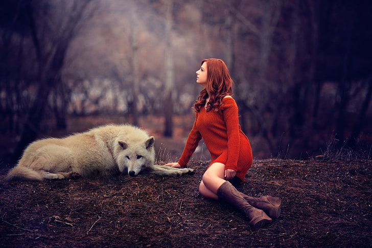 women's red long-sleeved dress and white wolf, girl, wolf, legs, redhead, sweater, Melis, HD wallpaper