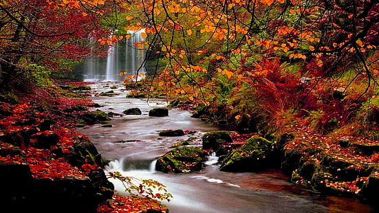 Outono árvores natureza paisagem folha deixa imagens de fundo Desktop, cachoeiras, outono, fundo, desktop, imagens, paisagem, folha, folhas, natureza, árvores, HD papel de parede HD wallpaper