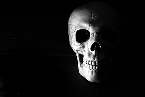 biało-czarna maska ​​czaszki, czaszka, Tapety HD HD wallpaper