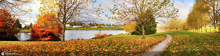 緑の芝生の真ん中にある灰色の経路、トコロア、トコロア、トコロア、秋の色、灰色、経路、中間、緑、芝生、草、ワイカトNZ、ニュージーランド、秋の色、オレンジ、南、カラフル、赤、黄色、葉、草木、秋、自然、木、葉、屋外、季節、公園-人工空間、風景、 HDデスクトップの壁紙